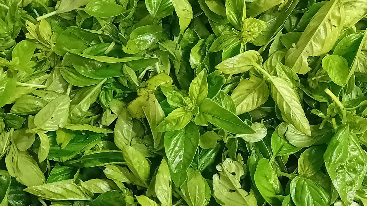 Pesto di Basilico con Noci 🌿 | Ricetta Facile e Veloce ✨