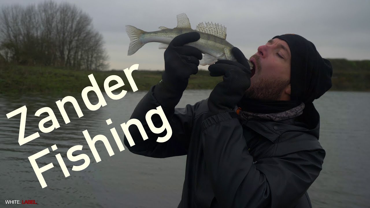 Vampire hunting - Zander fishing with Frans & Sean (English SUBS)