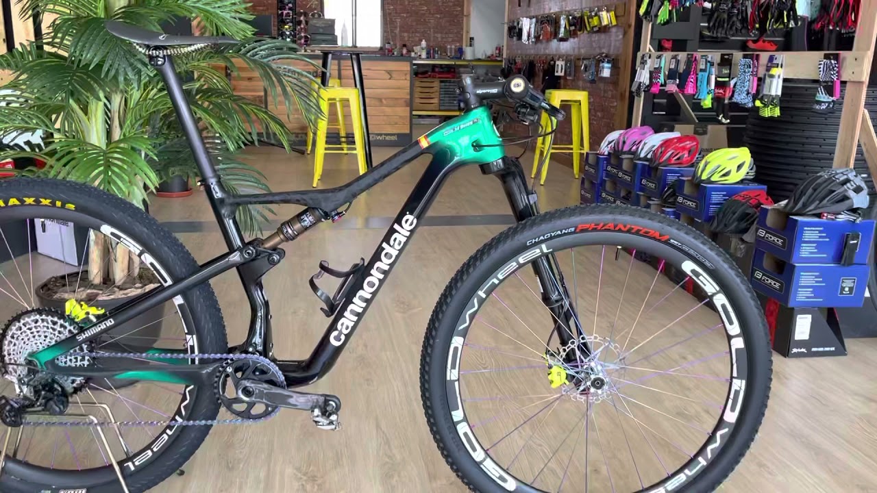 Cannondale Scalpel 1 HI-Mod 2021 Custom