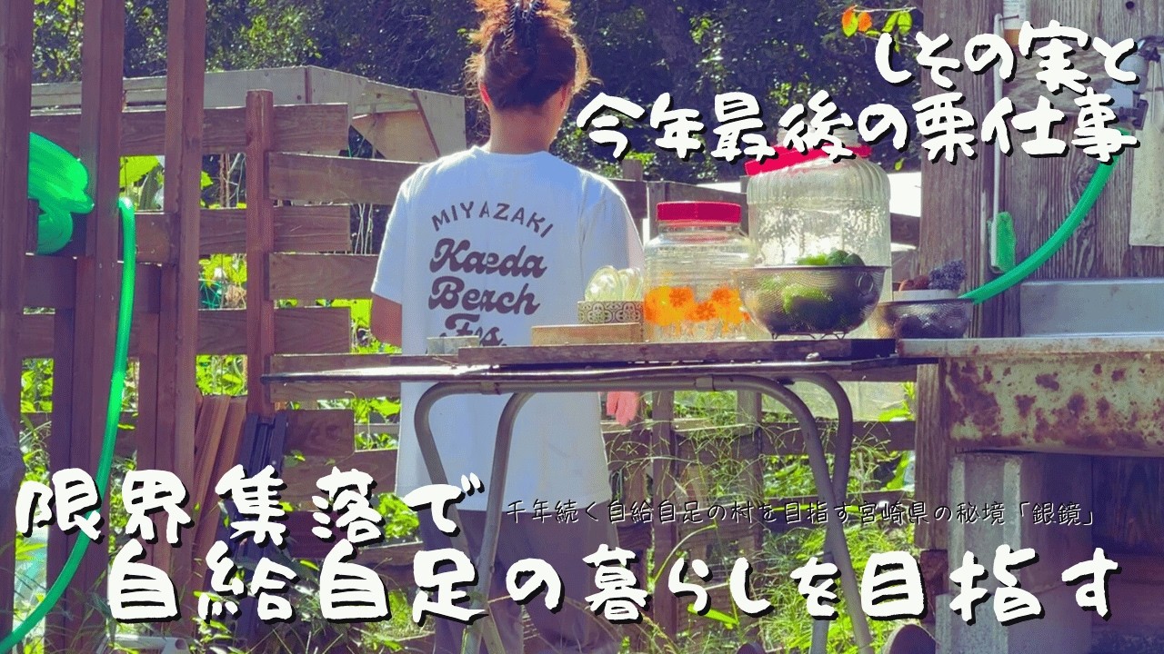 【限界集落からの挑戦|第二章】今年最後の栗仕事は薪ストーブで作る渋皮煮｜紫蘇の実醤油｜秋の味覚を手しごとで