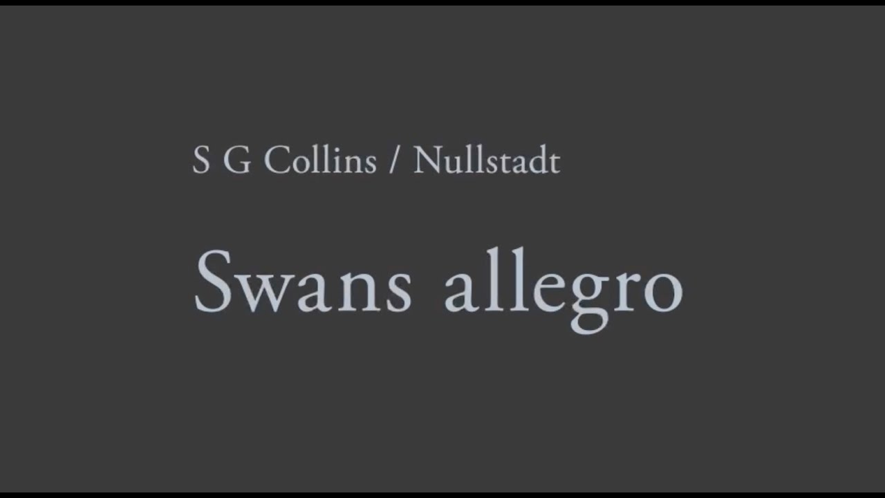 Swans allegro &mdash; S G Collins / Nullstadt