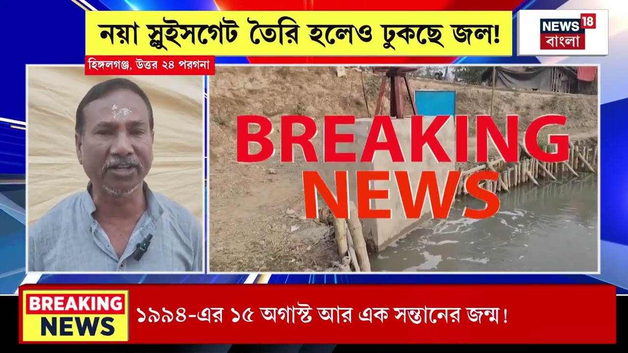 Hingalgunj News | হিঙ্গলগঞ্জে নষ্ট বিঘার পর বিঘা সর্ষে খেত! কারণ জানলে অবাক হবেন | Bangla News