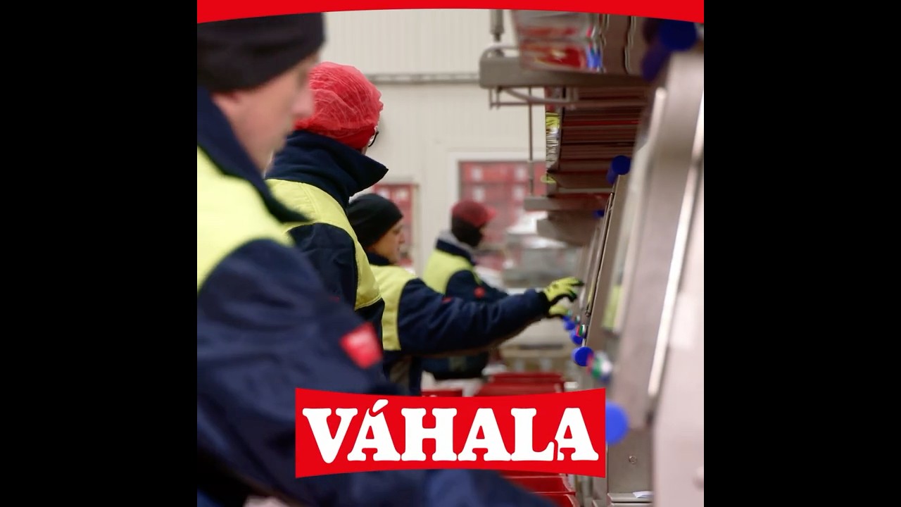 V&aacute;hala - Expedient