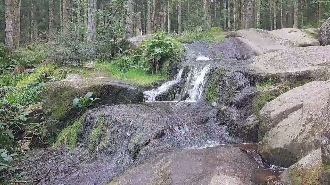 Vol en drône - Le tour de Mérelle (Gérardmer) :  Lac - forêt -cascade