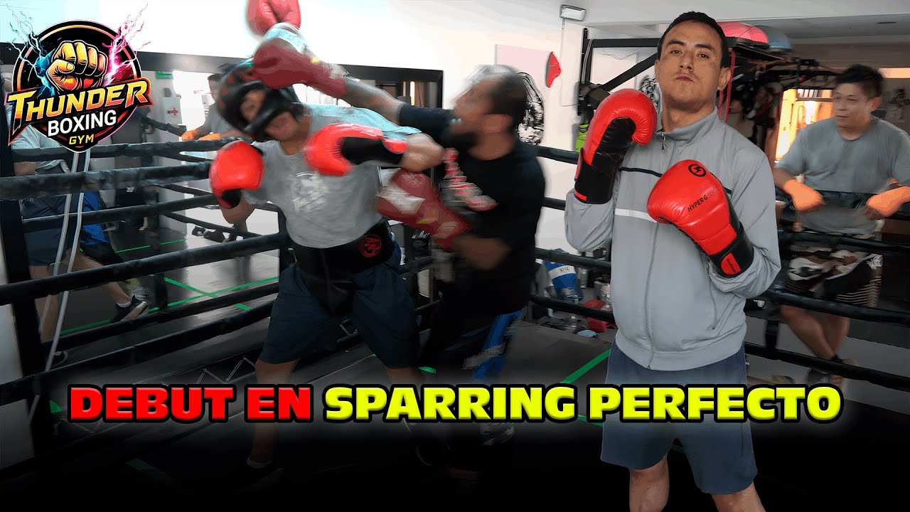 SIGUIÓ TODAS LAS INSTRUCCIONES | DiegoRodríguez VS Capibara | Boxeo