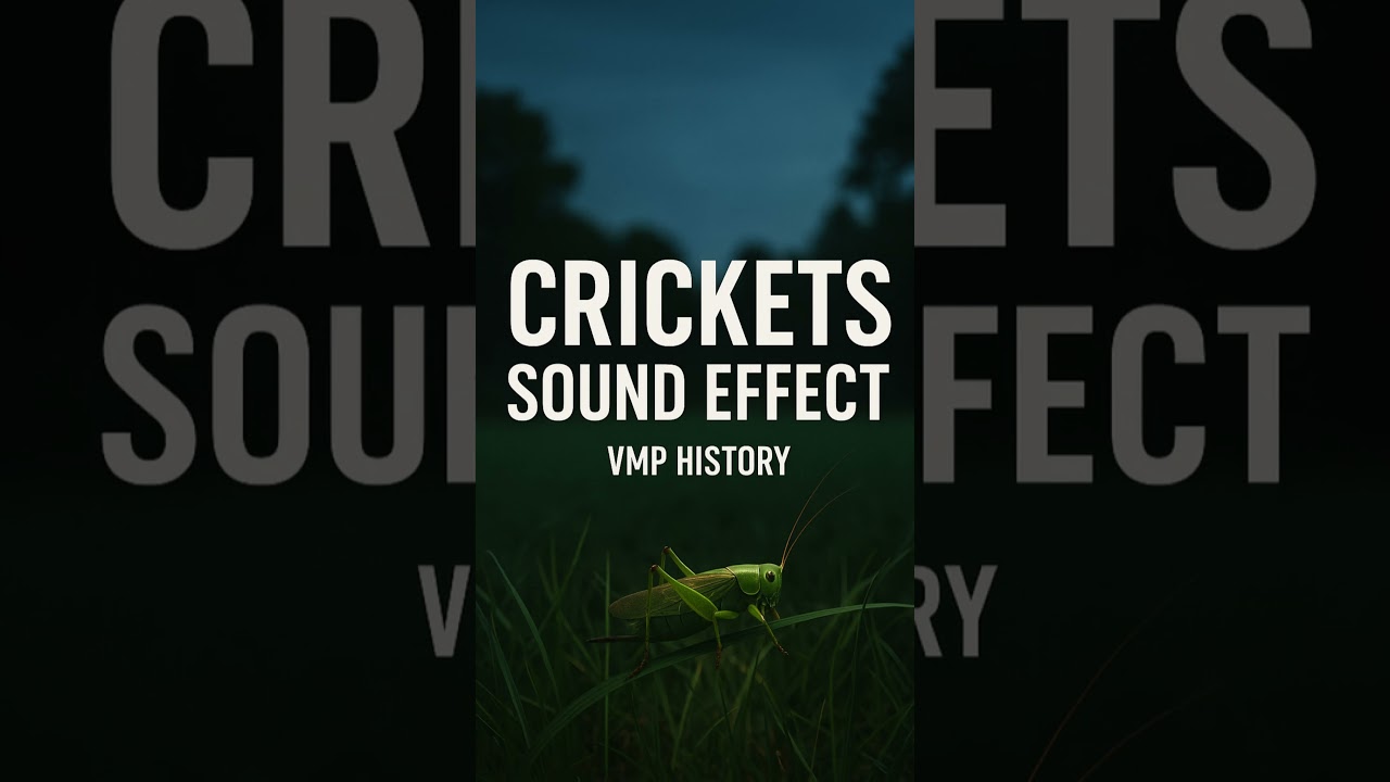 Crickets Sound Effect