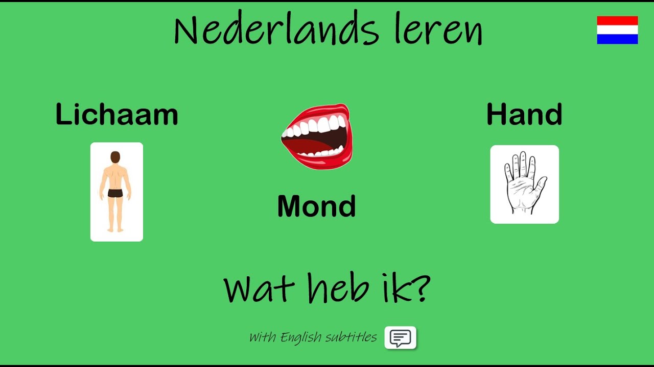 Nederlands leren; Wat heb ik?