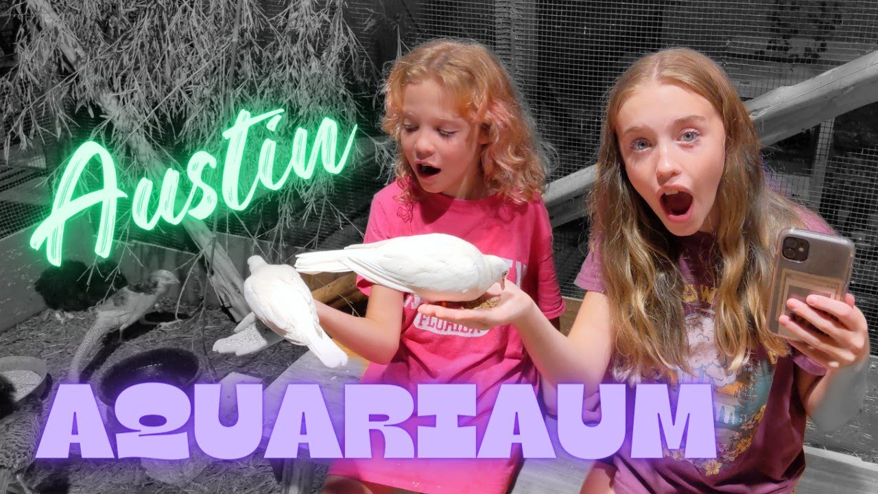 OTeam Fun at the Austin Aquarium! #aquarium #austinaquarium #theaustinaquarium