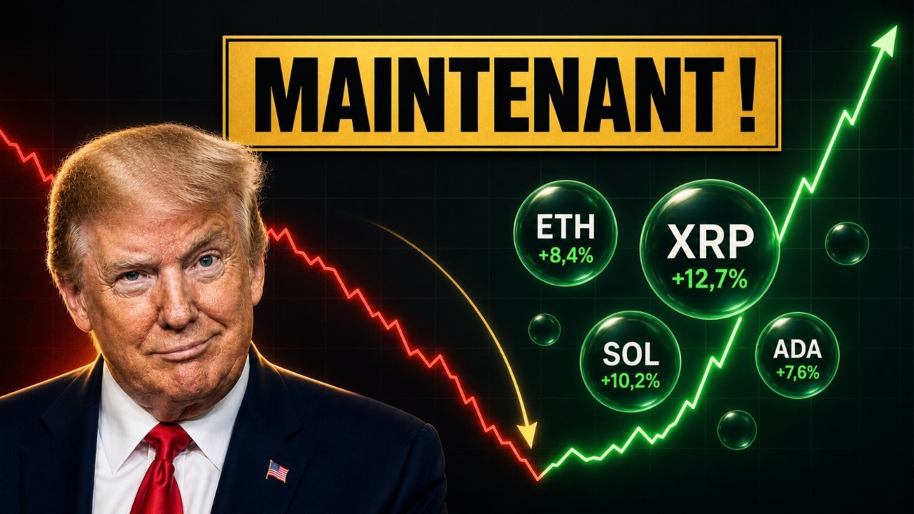 ALTCOINS: YOU'RE PANICKING WHILE... 🚨 (the cycle is repeating)