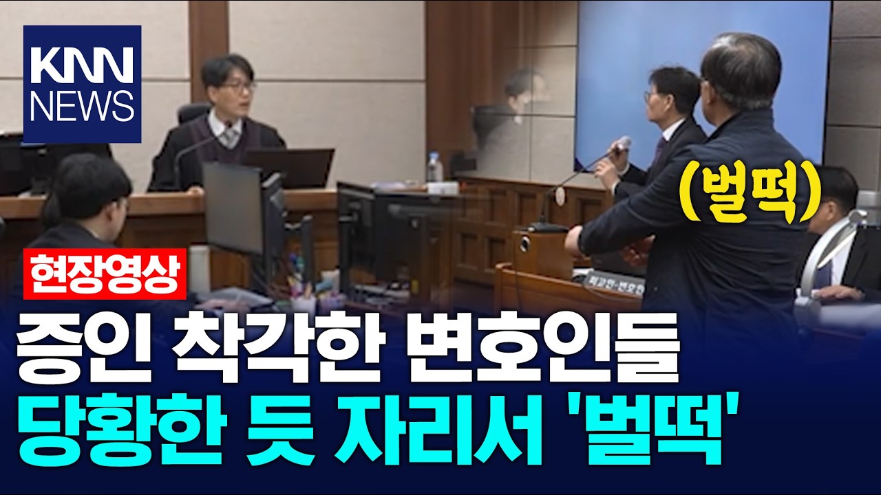 증인 착각한 변호인들 당황한 듯 자리서 '벌떡' / KNN