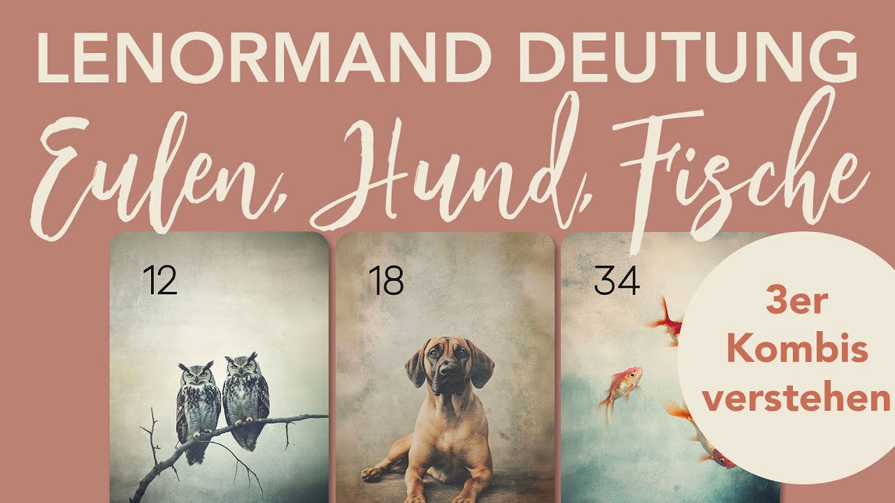 Eulen, Hund & Fische im Lenormand – So deutest Du die 3er Kombination richtig!