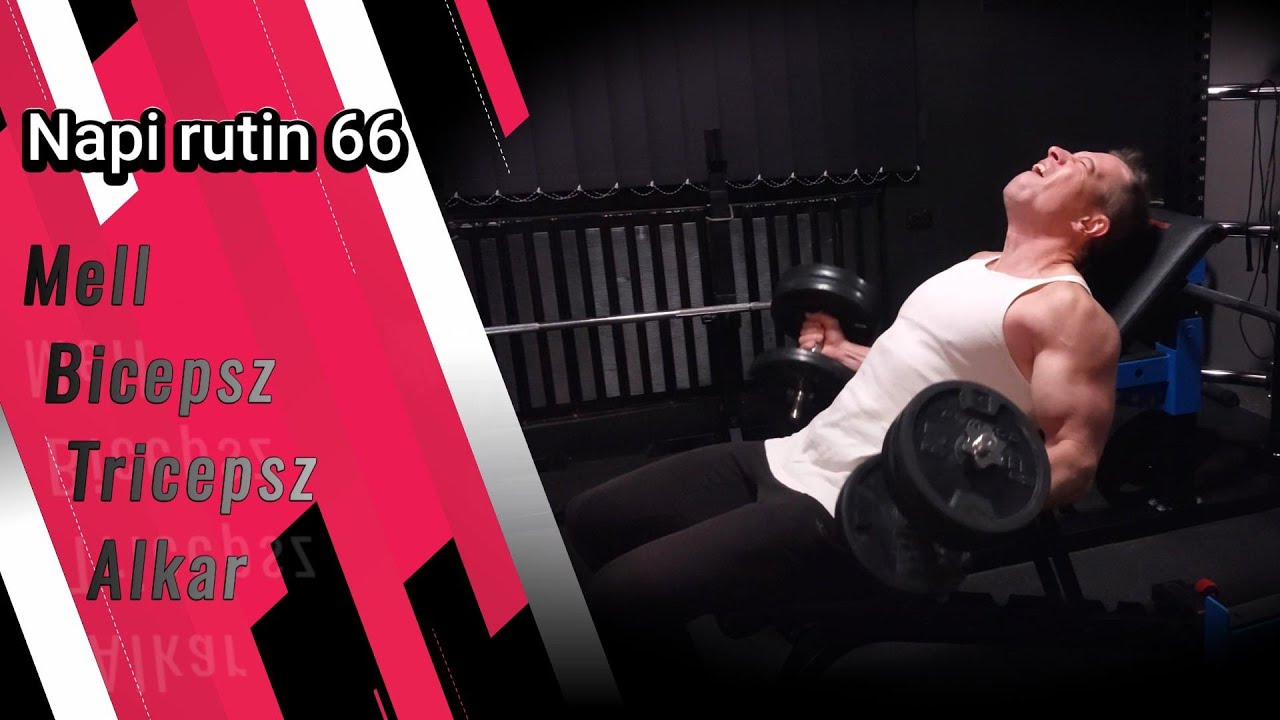 Napi rutin 66 |#melledzès  #bicepszedzés  #tricepszedzés  #alkaredzés #otthoniedzès