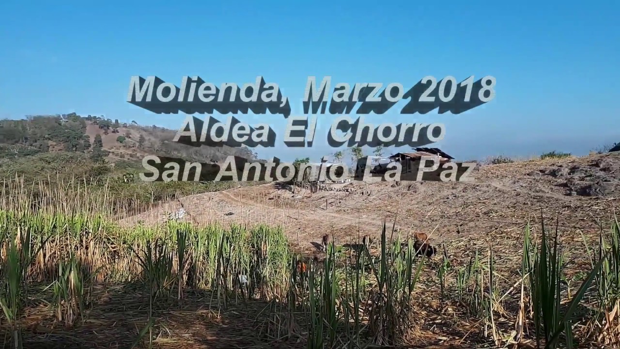 Molienda Aldea El Chorro San Antonio La Paz, 2018