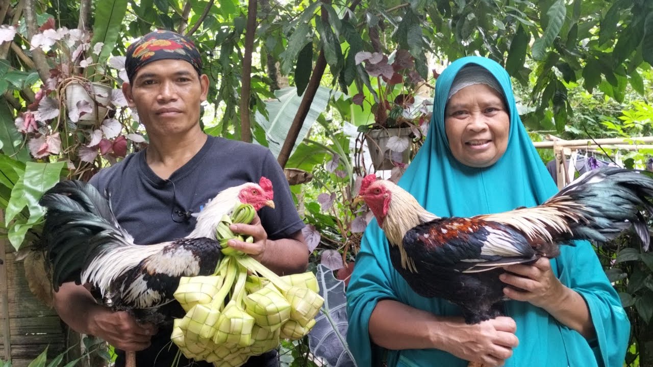 Edisi spesial lebaran membuat Ting