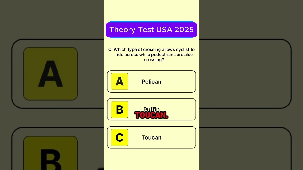 Theory Test 2025 USA | Pass Your Driving Test on the First Try!  