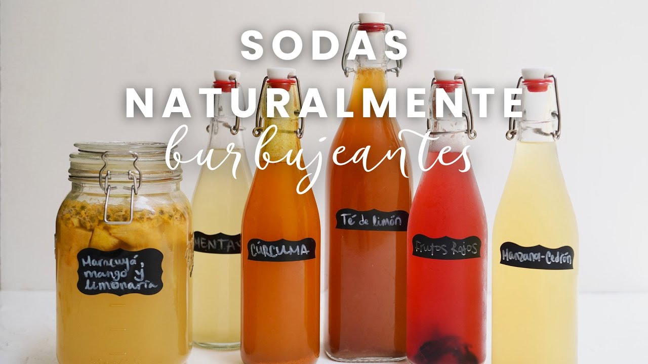 SODAS NATURALES, BURBUJEANTES Y FERMENTADAS - Soda de frutos rojos y cúrcuma 🍓
