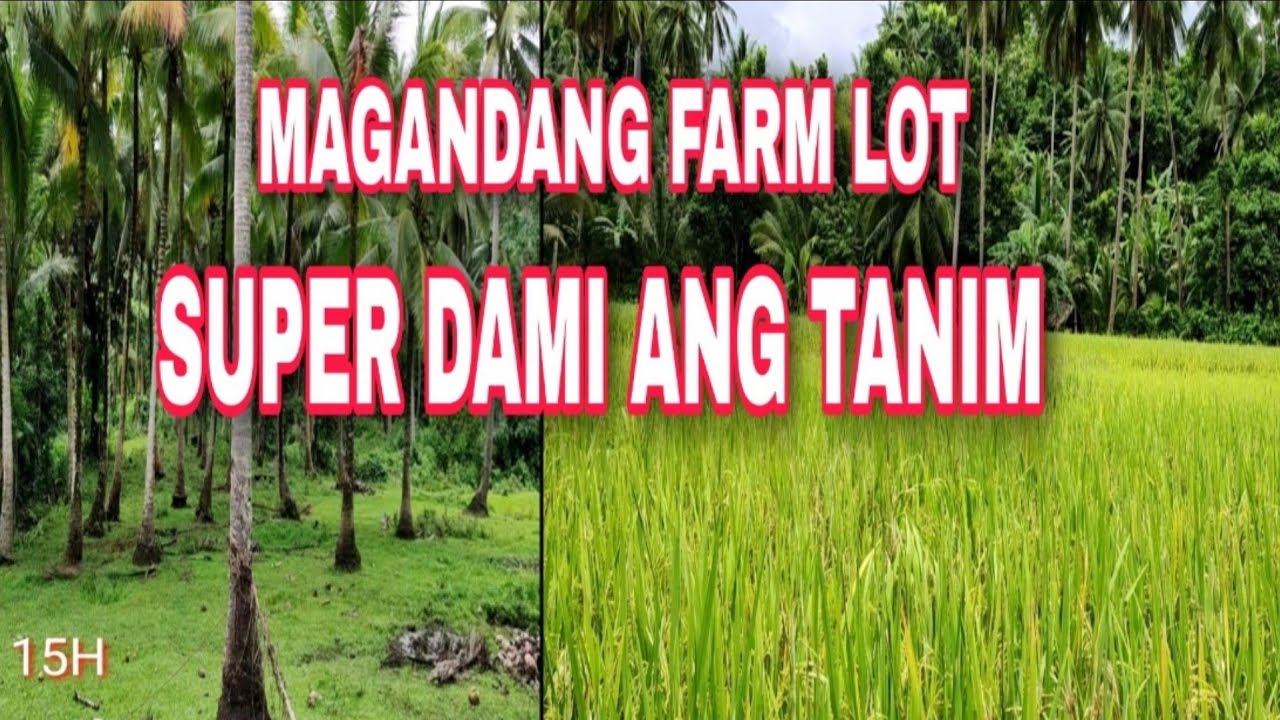 #612 #FARM LOT NASA TABING HIGHWAY