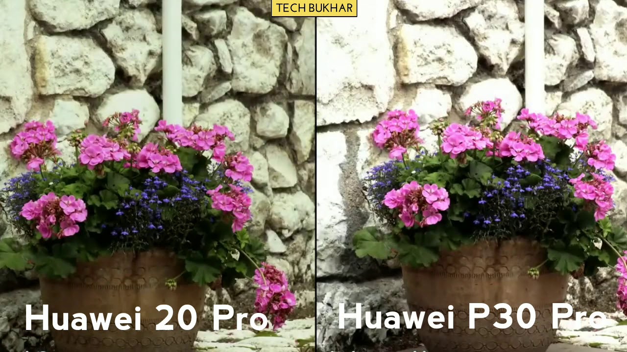 Huawei P30 Pro vs Huawei P20 Pro CAMERA COMPARISON || #P30Pro #P20Pro #TECHBUKHAR #HuaweiP30Pro