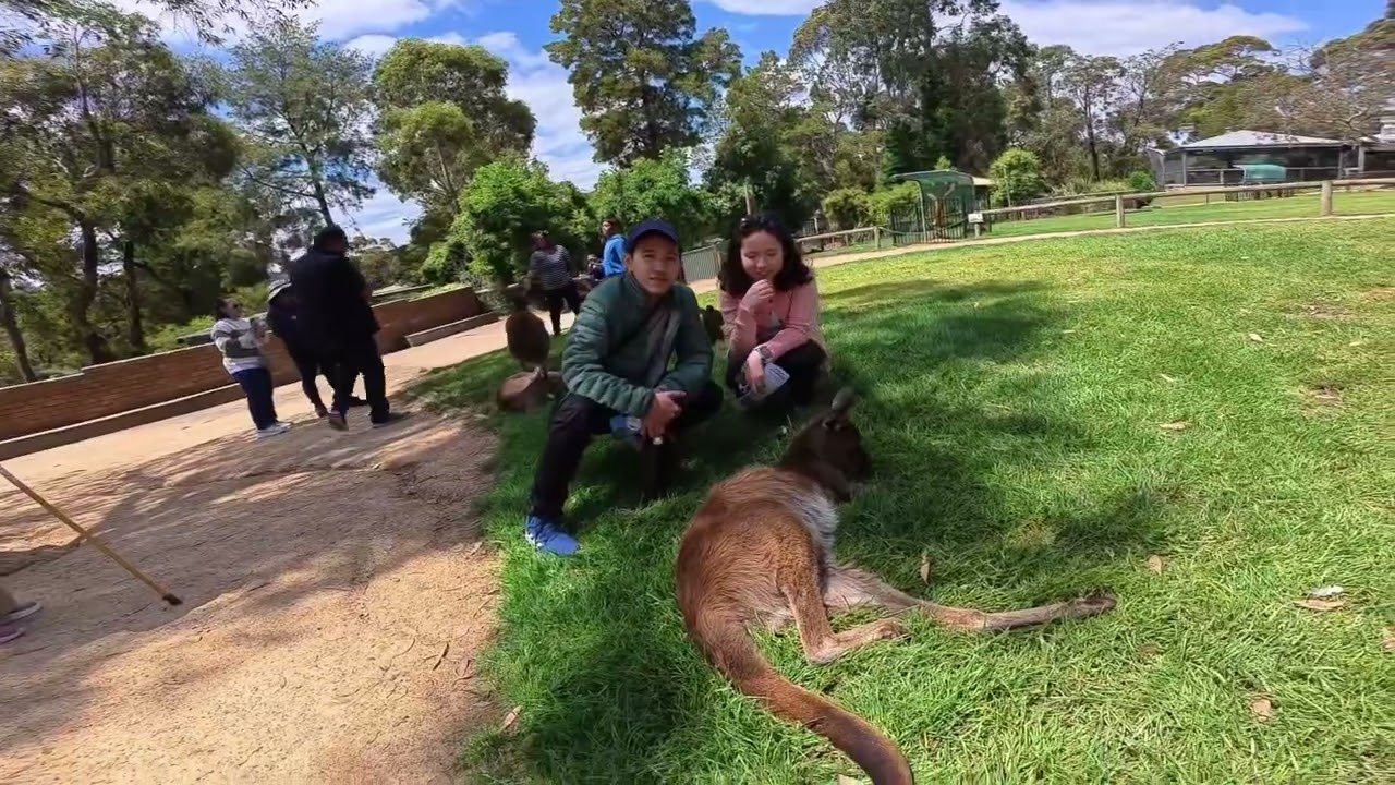 Ballarat Wild Life Park