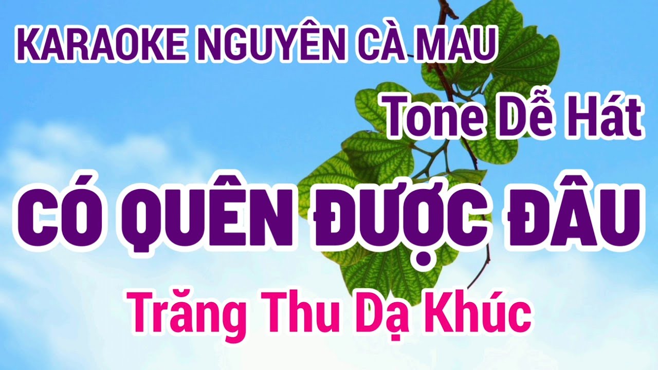 Karaoke Có Quên Được Đâu | Trăng Thu Dạ Khúc | Tone Dễ Hát | Nguyên Cà Mau 4/6/2024