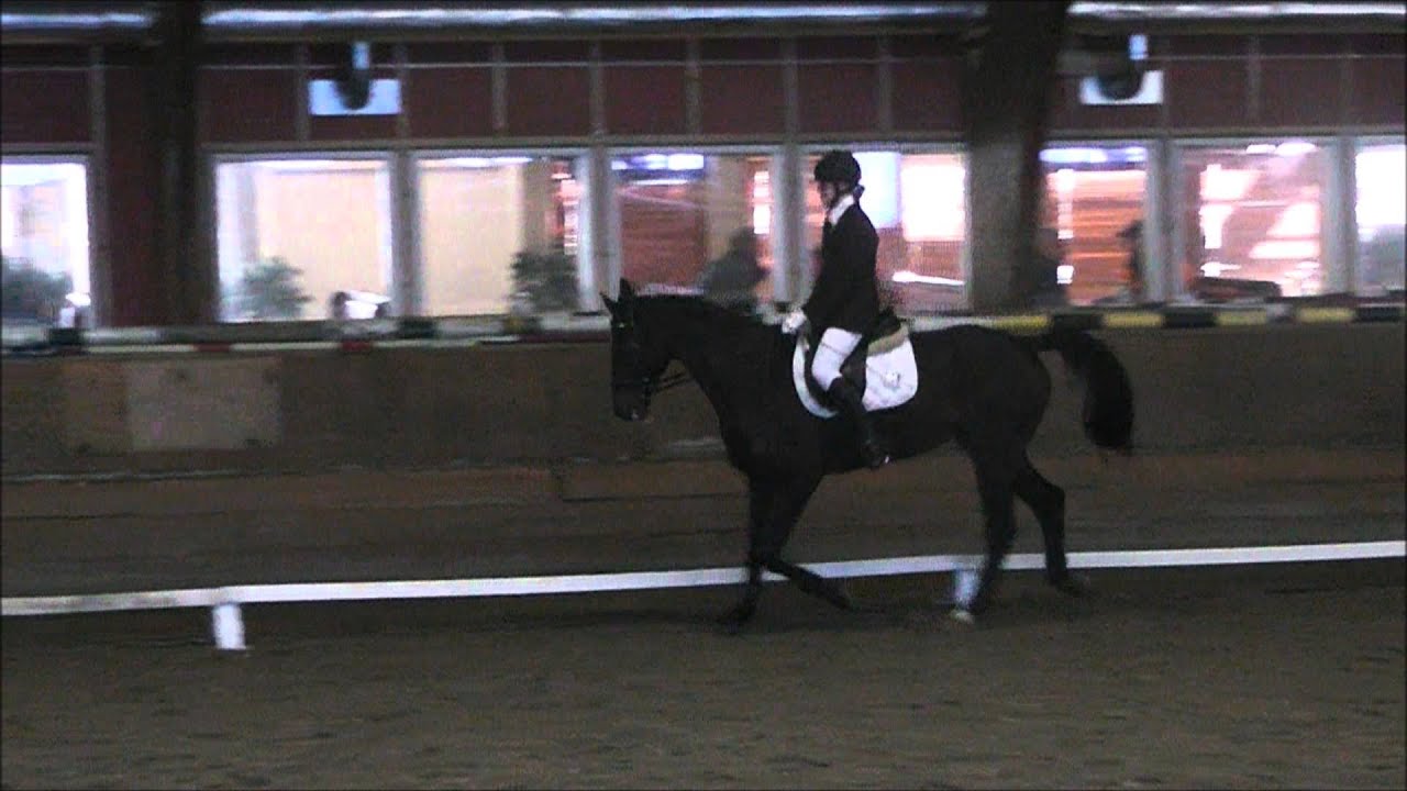 camilla og gacio BRYKs FERD rideskolecup 2013 RLC1