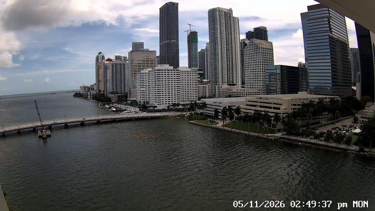 600k views on Earthcam 24 Hours Live HD 60FPS Miami Camera, View of Fireworks, Dolphins and Manatees