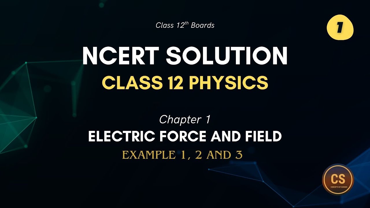 Class 12th Physics Chapter 1 Example 1, 2 and 3 | NCERT Solutions |   ⁨@physicskeconcepts