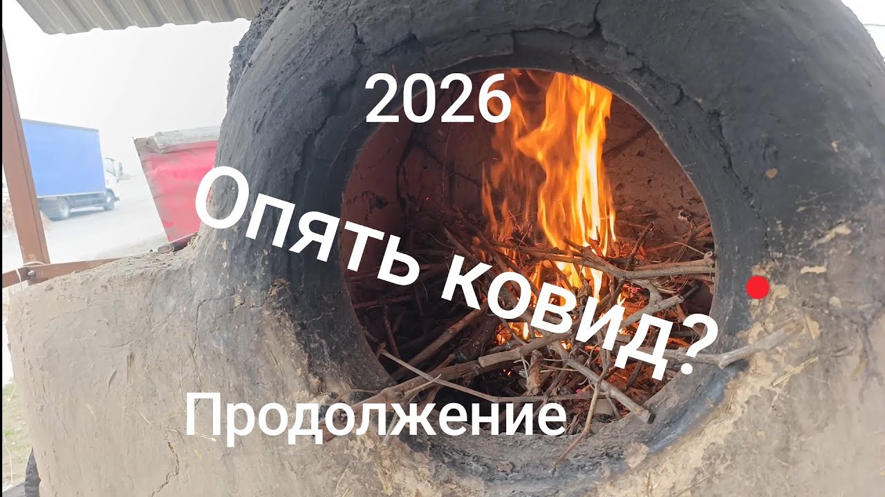 Ковид не сдается.Снова в реанимацию.Кук самса из тандыра.Ташкент.Узбекистан.Влог#231
