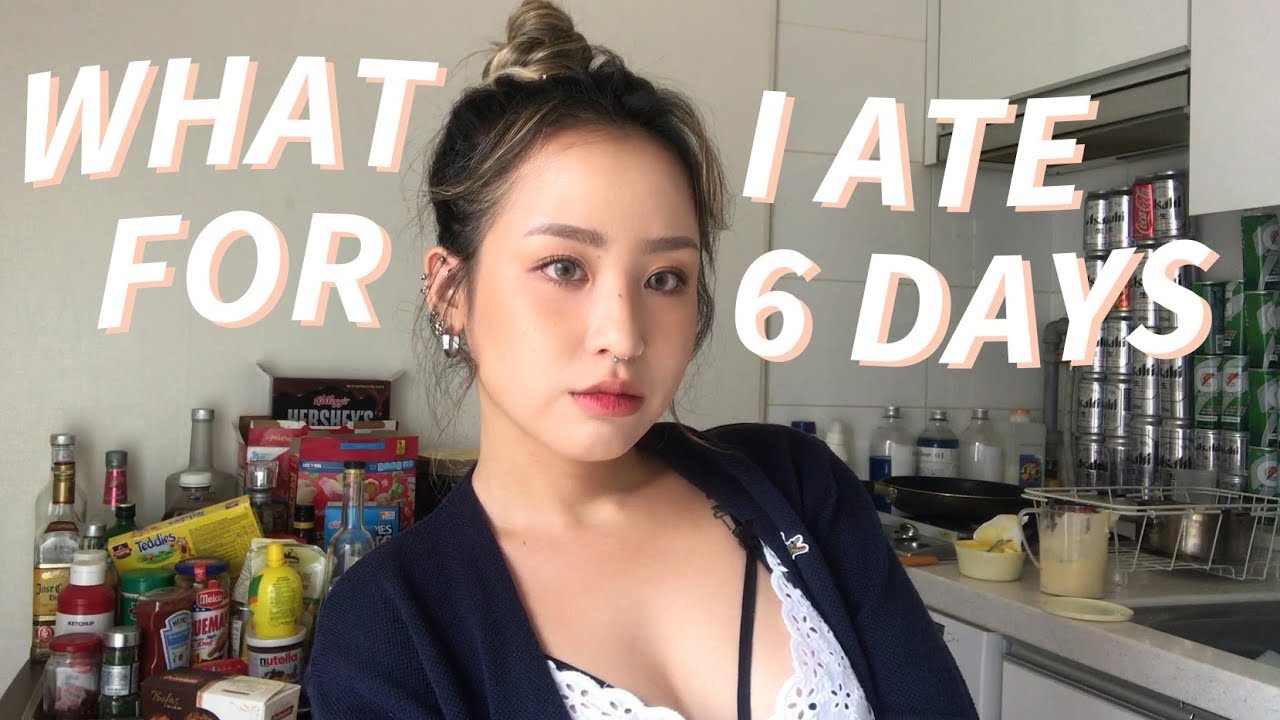 진진의 여름 사료 WHAT I ATE FOR 6 DAYS｜JINJIN 진진