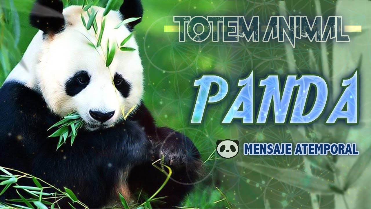 ⚫Totem Espiritu Animal de Poder | ⭐Panda - Balance | Que Significa & Mensaje | Soullky