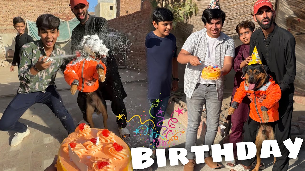 Aj Oggy Ki 1st Birthday Celebrat Ki 🥳