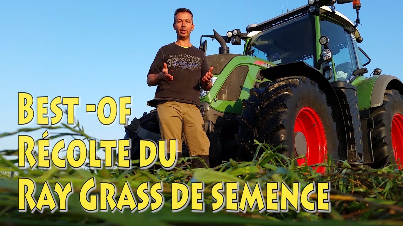 best of : La récolte du Ray Grass de semence
