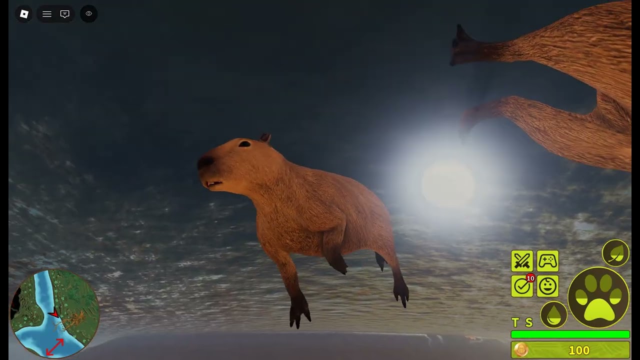 Zuluza: The brave capybara