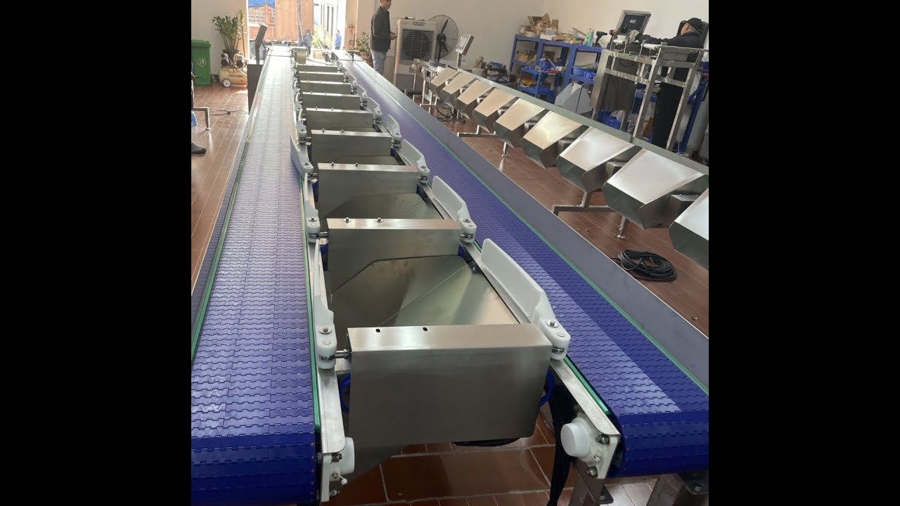 fish grading machine, testing fish grader,