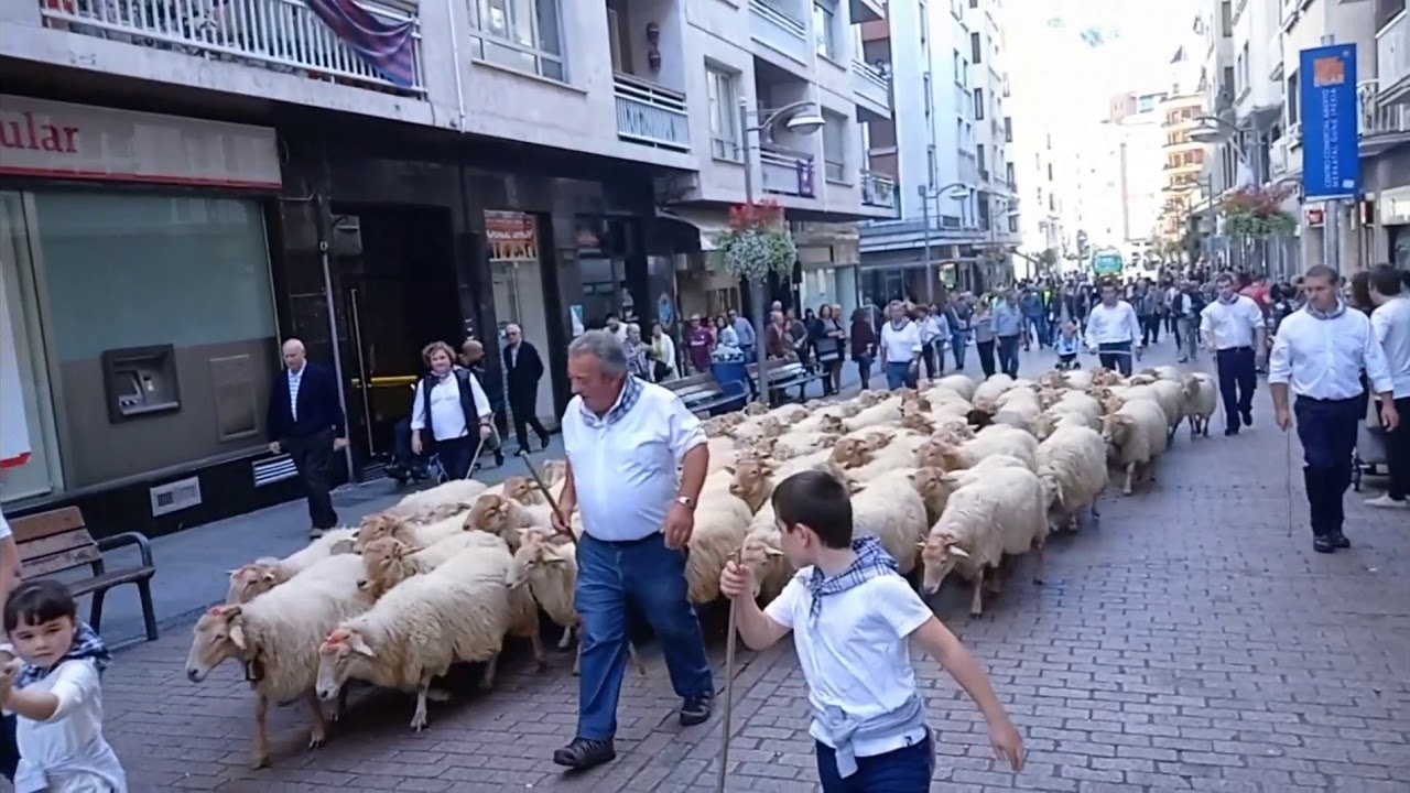 Ardiak Eibarko kaleetan