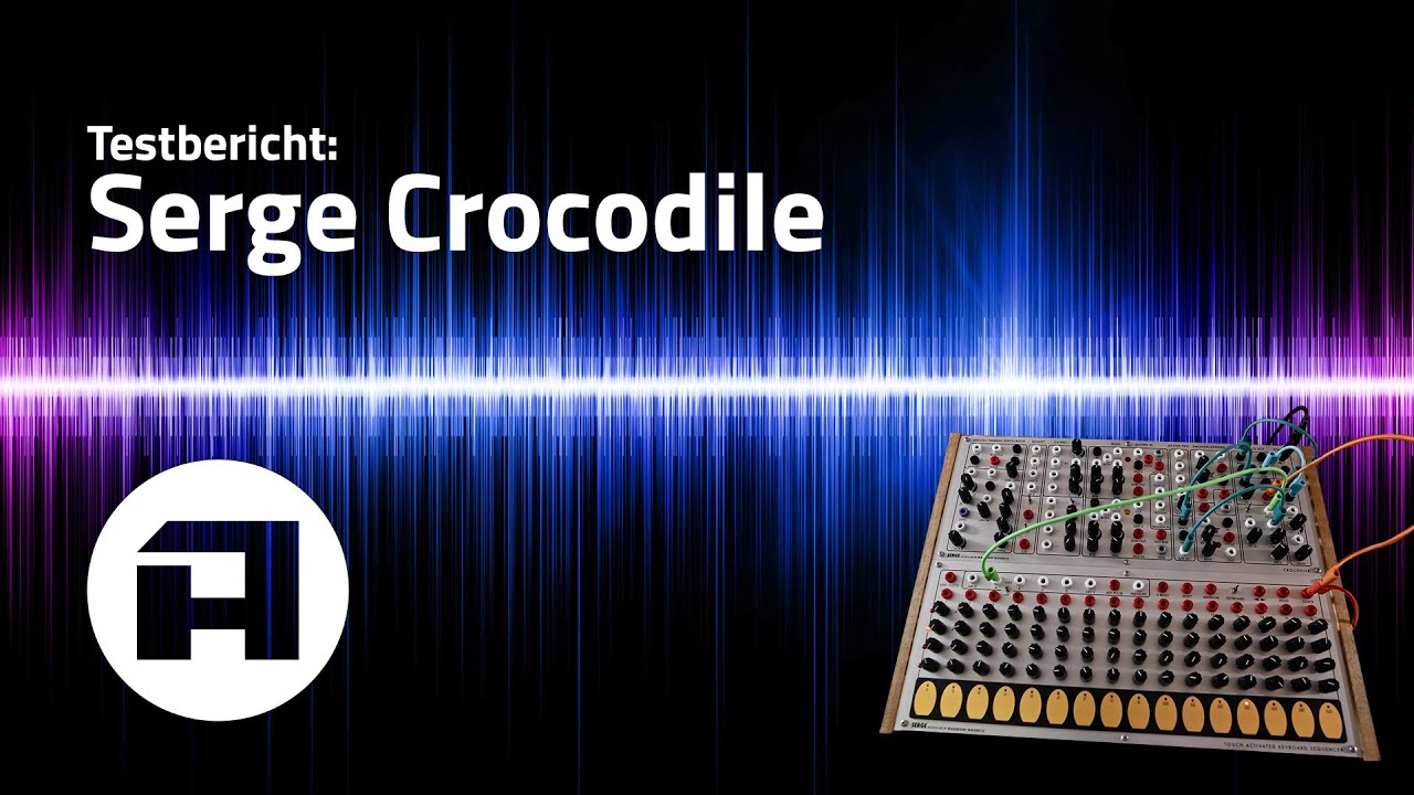 TEST Serge Crocodile