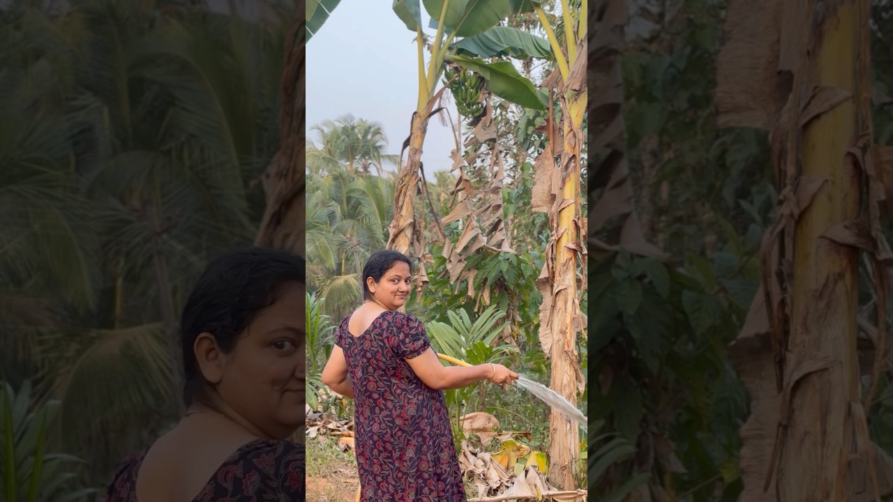 അതല്ലേലും അങ്ങനെ ആണല്ലോ ❤️