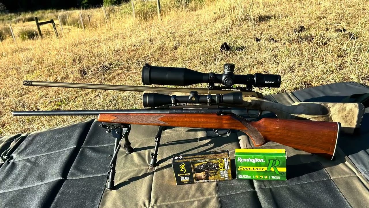 Старое против нового! Винчестер 270 против Вестерн 6.8.