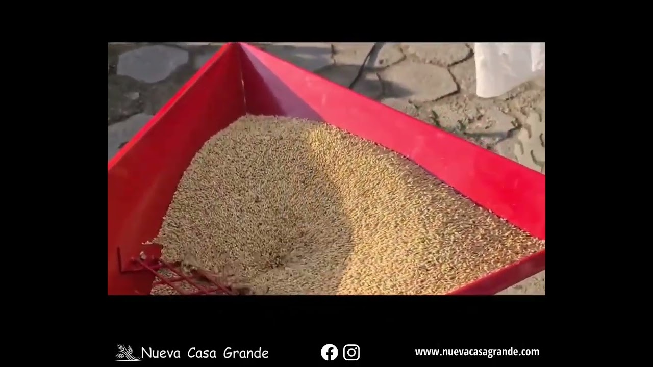 Maquinas limpiadoras de granos y semillas
