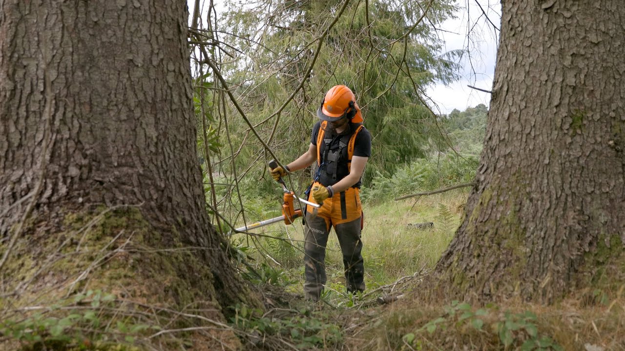 Apprenticeships | Forestry and Land Scotland