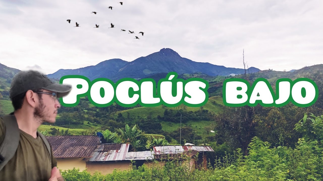 POCLUS BAJO - FRÍAS - PERÚ