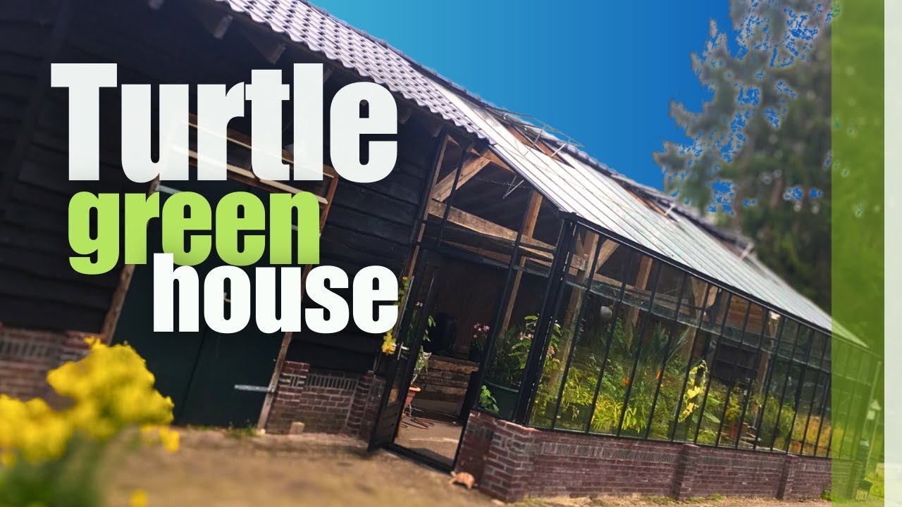 Amazing Turtle Greenhouse and outdoor enclosures