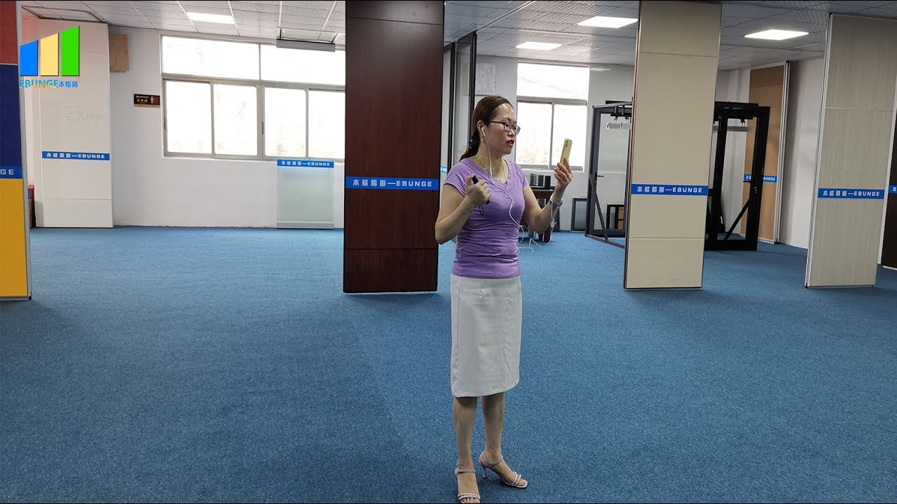 Movable Walls Partition Sliding Folding Meeting Room Partitions Introduction | Ebunge Partition Wall