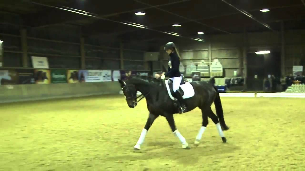 Klaus Balkenhol - Alte Meister - in Stuttgart, Leonberg - Teil 4a