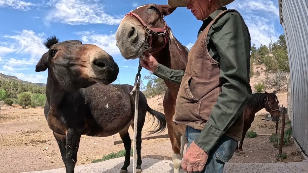 MULE TAPE LEAD ROPES