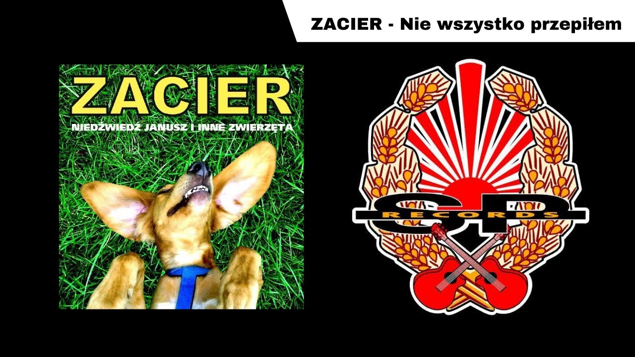 ZACIER - Nie wszystko przepiłem [OFFICIAL AUDIO]
