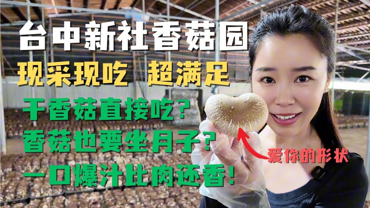 🍄‍🟫现采现吃超鲜甜！全台香菇产量第一的台中新社🔥直击头嵙山宝藏香菇园！😋一口爆汁比肉还香？