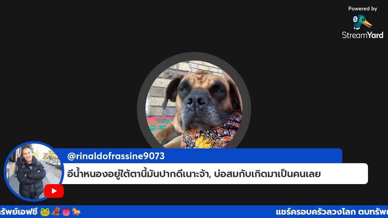 วันนี้วันศีลอิคกขึ้นแล้ว อิคกขึ้นแล้ว🐸👅🦧🐴