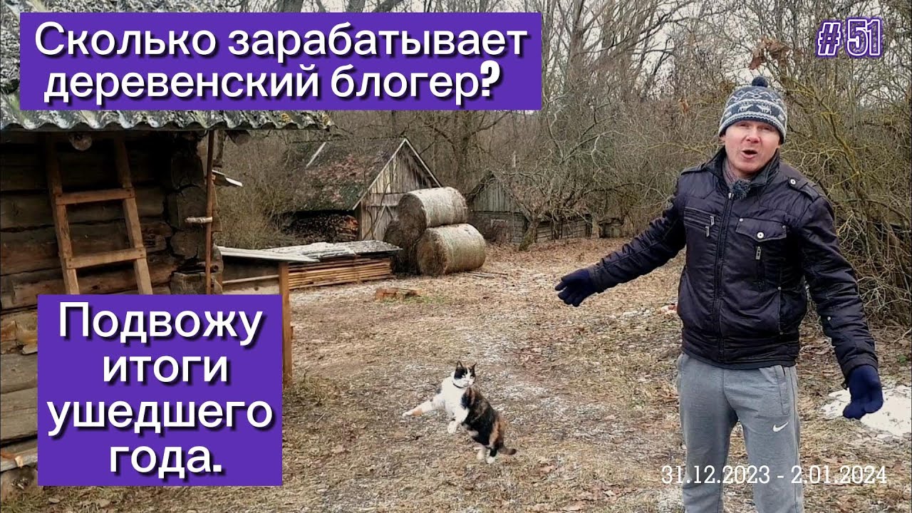 Подведение итогов ушедшего года. Сколько зарабатывает деревенский блогер?