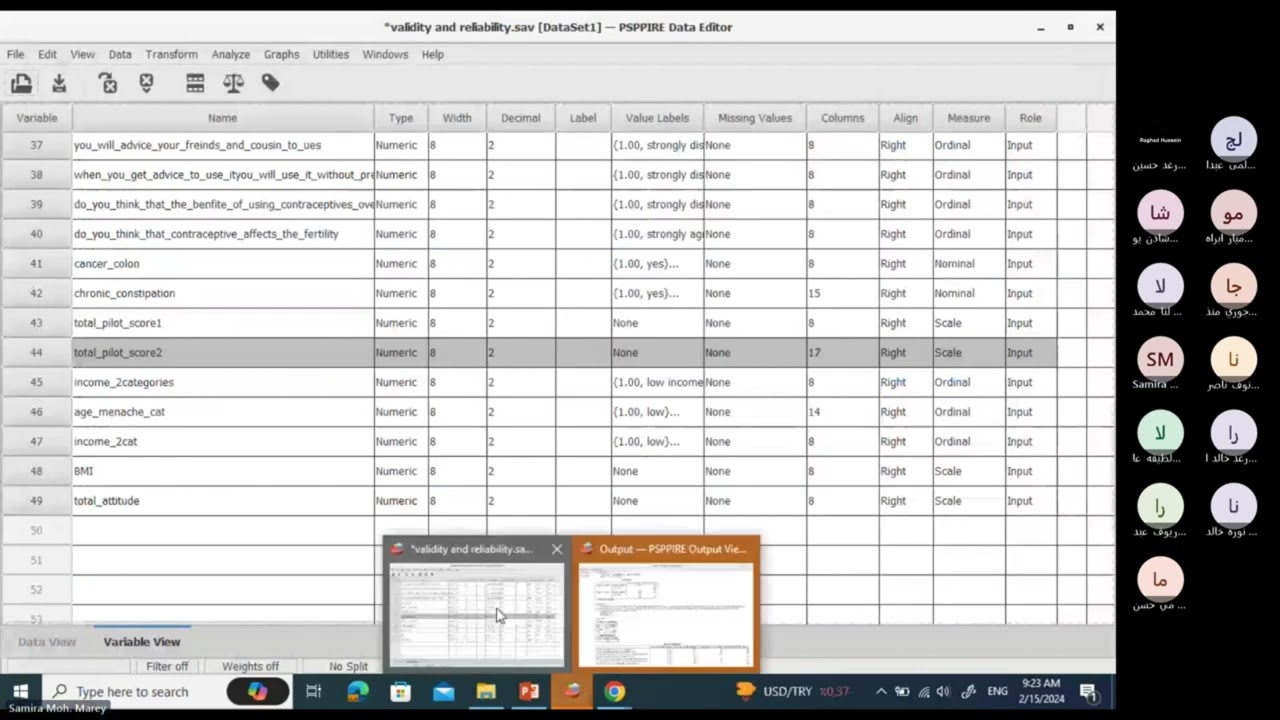 Measure the reliability of a questionnaire statistically with PSPP